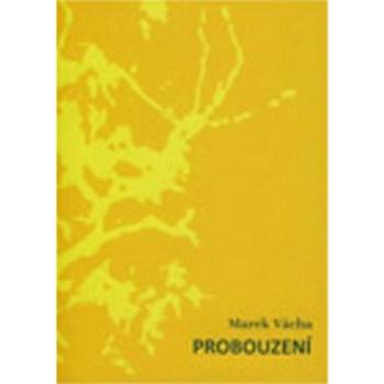 Probuzení (978-80-7295-113-0)