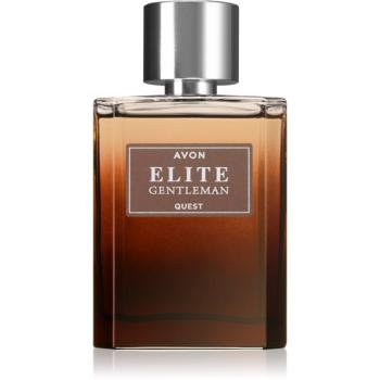 Avon Elite Gentleman Quest toaletní voda pro muže 75 ml