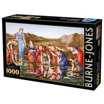 D-TOYS Puzzle Zrcadlo Venuše 1000 dílků (5947502872733)