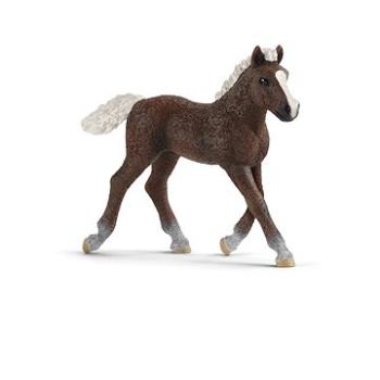 Schleich Hříbě Schwarzwaldské 13899 (4059433039589)