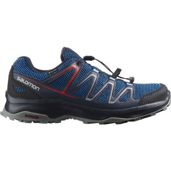 Salomon CUSTER GTX Férfi túracipő, sötétkék, méret 42 2/3