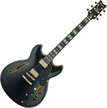 Ibanez JSM20-BKL Black Low Gloss Semiakustická kytara