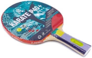 Pingpongütő Giant Dragon Karate P40+