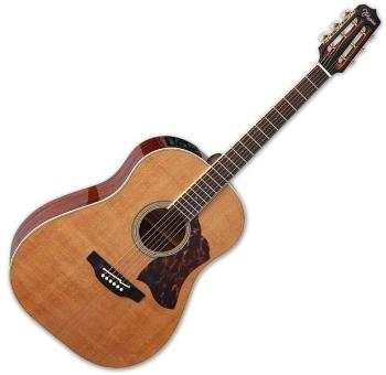 Takamine CRN-TS1 Natural Elektroakustická kytara Dreadnought