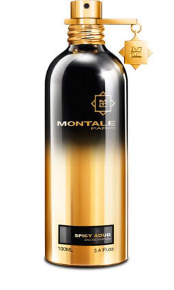 Montale Spicy Aoud - EDP - TESTER 100 ml