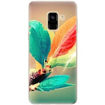 iSaprio Autumn pro Samsung Galaxy A8 2018 (aut02-TPU2-A8-2018)