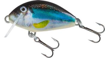 Salmo Wobler Tiny Holo Smelt - 3cm Sinking