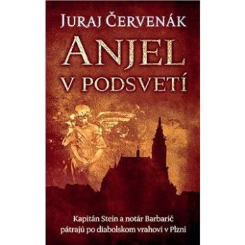 Anjel v podsvetí: Kapitán Stein a notár Barbarič pátrajú po diabolskom vrahovi v Plzni (978-80-556-4836-1)