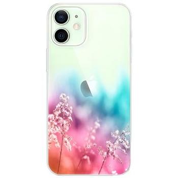 iSaprio Rainbow Grass pro iPhone 12 (raigra-TPU3-i12)