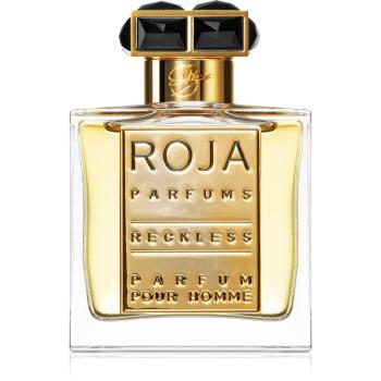 Roja Parfums Reckless parfém pro muže 50 ml