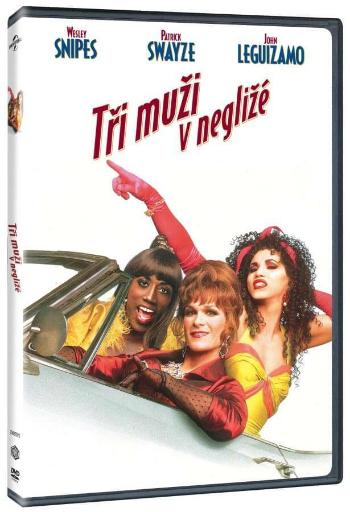 Tři muži v negližé (DVD)