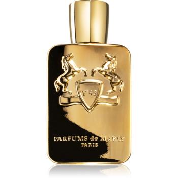 Parfums De Marly Godolphin parfémovaná voda pro muže 125 ml