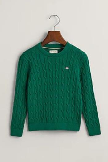 SVETR GANT COTTON CABLE SHIELD CREW WILD GREEN