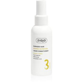 Ziaja Plant Essentials Banana Flower bezoplachový kondicionér pro poškozené vlasy 125 ml