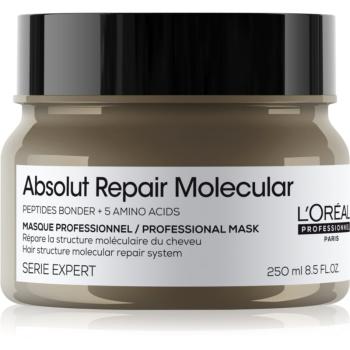 L’Oréal Professionnel Serie Expert Absolut Repair Molecular hloubkově posilující maska na vlasy 250 ml