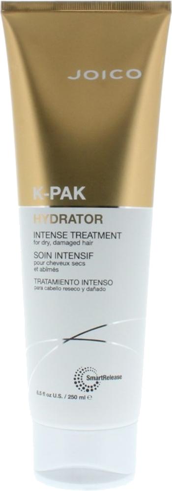 Joico Hydratační kúra pro suché a poškozené vlasy K-Pak Hydrator (Intense Treatment) 250 ml