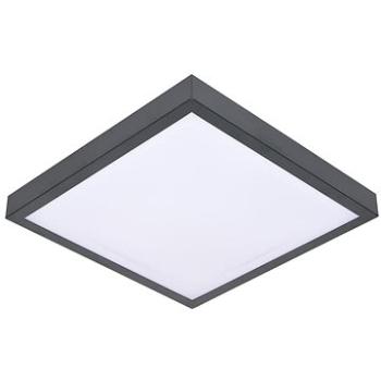 Stropní svítidlo VITAL 2xE27/60W/230V antracit (BW0108)