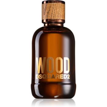 Dsquared2 Wood Pour Homme toaletní voda pro muže 100 ml