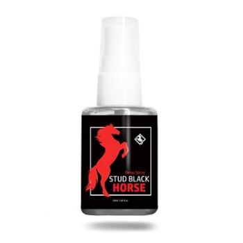 STUD BLACK HORSE NA ODDÁLENÍ PRO MUŽE 50ML (7)