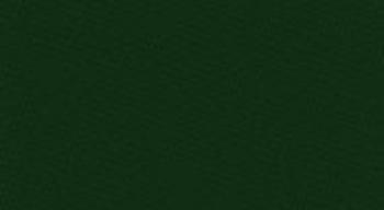 Posztó Simonis 760, spruce 195 cm