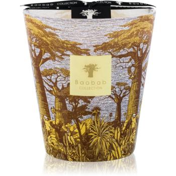 Baobab Collection Sacred Trees Cocody vonná svíčka 16 cm