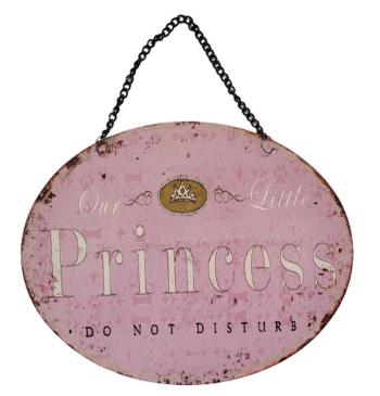 Růžová závěsná kovová cedule s řetízkem Princess - 25*20 cm 8PL-855820253333