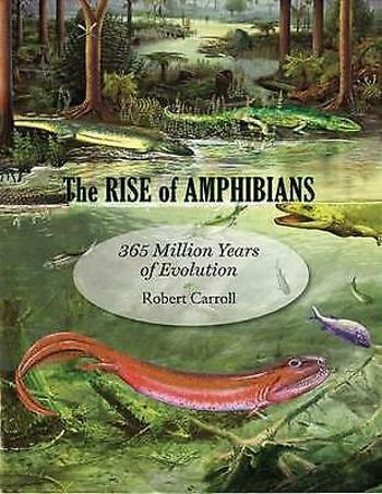 The Rise of Amphibians : 365 Million Years of Evolution - Carroll Robert