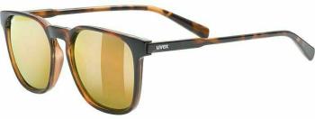 UVEX LGL 49 P Havanna/Mirror Gold Lifestyle brýle