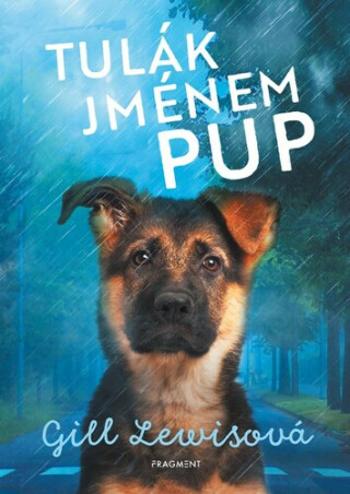 Tulák jménem Pup - Gill Lewisová