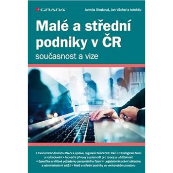 Malé a střední podniky v ČR – současnost a vize (978-80-271-1747-5)