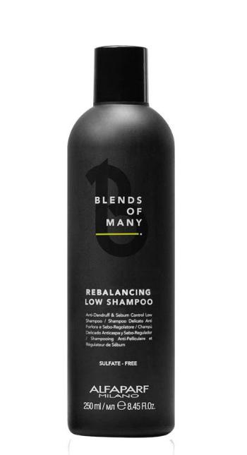 Alfaparf Milano Rebalancing Low Shampoo vyrovnávací šampon pro redukci mazu 250 ml