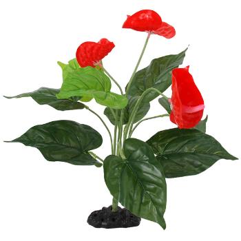 Rostlina Repti Planet kvetoucí Anthurium 40cm