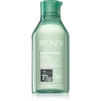 Redken Amino Mint jemný čisticí šampon pro rychle se mastící vlasy 300 ml