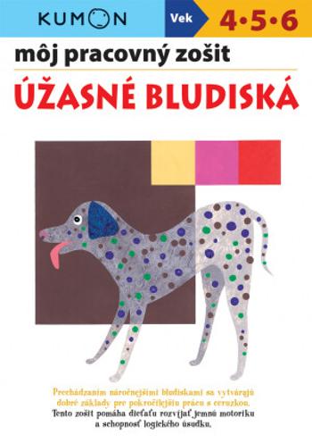 Môj pracovný zošit Úžasné bludiská - Toshihiki Karakido, Yoshiko Murakami, Masako Watanabe