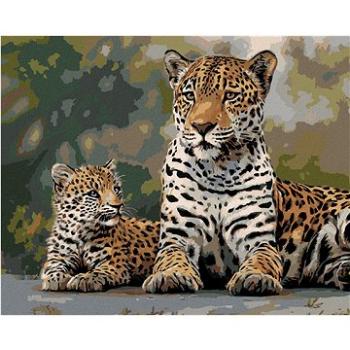 Zuty - Malování podle čísel – LEOPARD A MLÁDĚ (JOE HAUTMAN), 80x100 cm, vypnuté plátno na rám (HRAmmb04755nad)