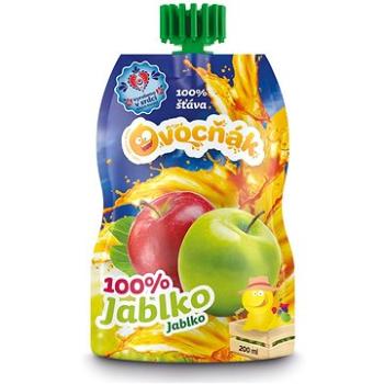 Ovocňák mošt jablko 100% 200 ml (8592809000050)