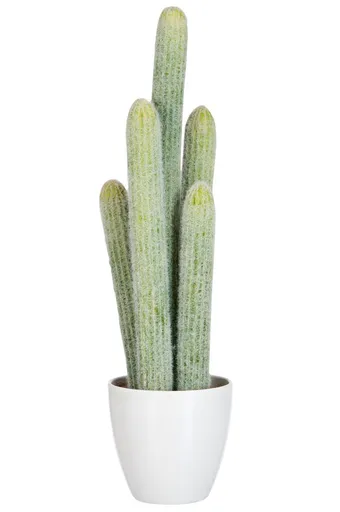 Okrasný kaktus v květináči - 16*14*54cm J-Line by Jolipa