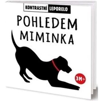 Pohledem miminka (978-80-7642-083-0)