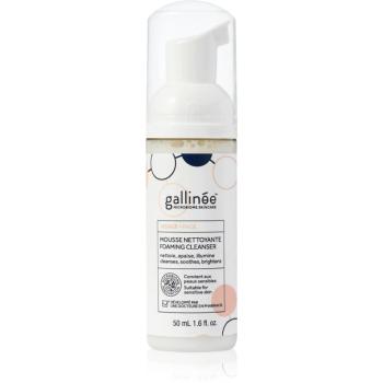 Gallinée SKIN CARE Foaming Facial Cleanser jemná čisticí pěna na obličej 50 ml