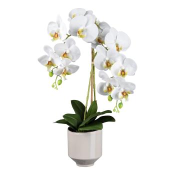 Gasper Umělá orchidej v keramickém květináči, 60 cm, bílá