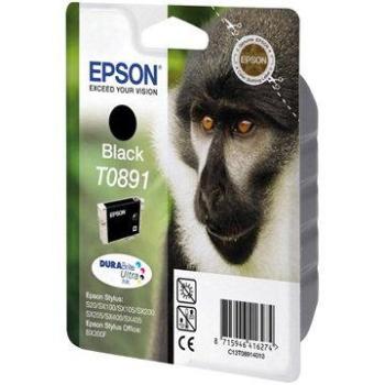 Epson T0891 černá (C13T08914011)