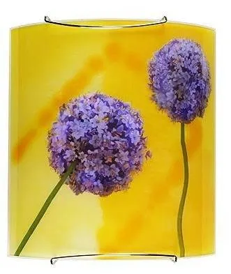 Nástěnná lampa 1X60W E27 vícebarevná GARLIC