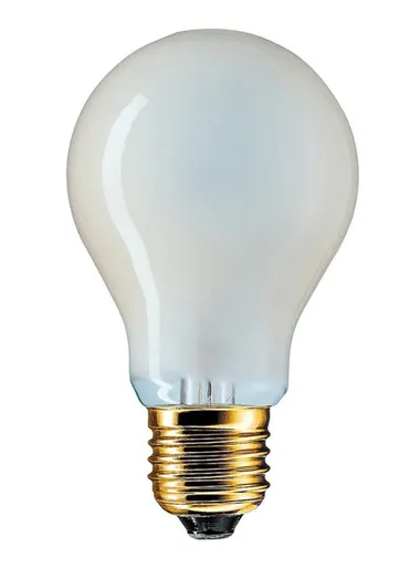 Toplux Žárovka 100W E27 230V matná