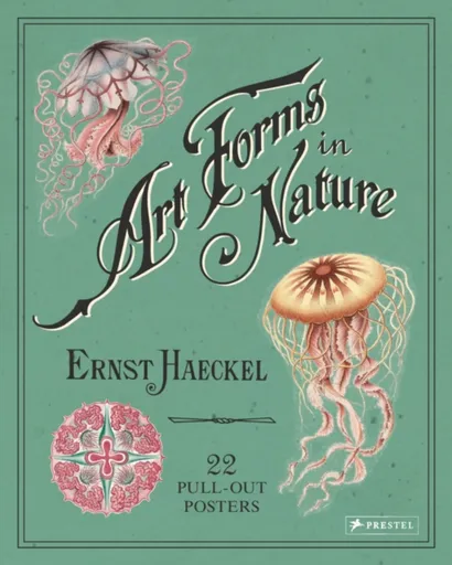 Ernst Haeckel: Art Forms in Nature: 22 Pull-Out Posters - Haeckel Ernst