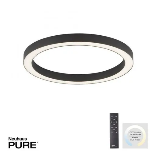 PAUL NEUHAUS LED stropní svítidlo PURE-LINES 50cm stmívatelné CCT 2700-5000K antracit 6309-13