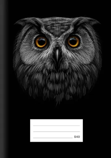 Školní sešit LUX A5 540