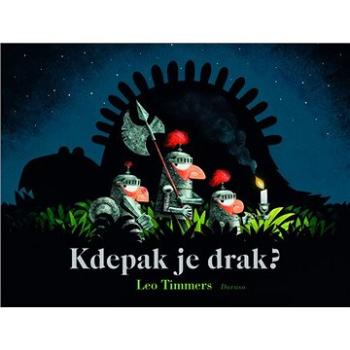 Kdepak je drak? (9789083087207)