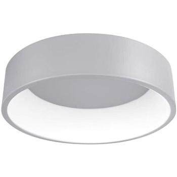 LED Stropní svítidlo KAJI LED/20W/230V (109980)