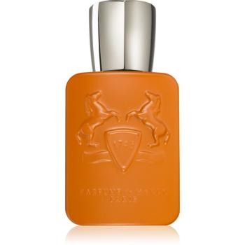 Parfums De Marly Althaïr parfémovaná voda pro muže 75 ml