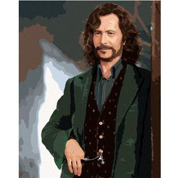 Zuty - Malování podle čísel - SIRIUS BLACK (HARRY POTTER), 40x50 cm, vypnuté plátno na rám (HRAmmb00059nad)